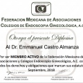Ampliar imagen: certificate 21
