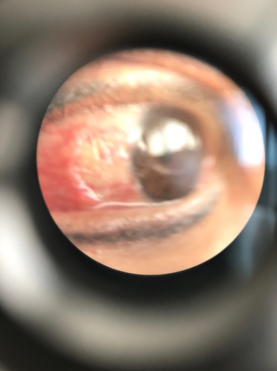 Juan Alberto Garrido Camelo-2