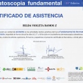 Ampliar imagen: certificate 6