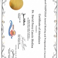 Ampliar imagen: certificate 8
