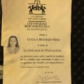 Ampliar imagen: certificate 3