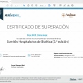 Ampliar imagen: certificate 13
