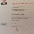 Ampliar imagen: certificate 5