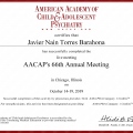 Ampliar imagen: certificate 6
