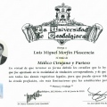 Ampliar imagen: certificate 6