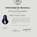 Ampliar imagen: certificate 1