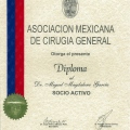 Ampliar imagen: certificate 6