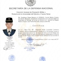 Ampliar imagen: certificate 9