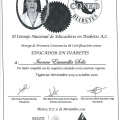 Ampliar imagen: certificate 2