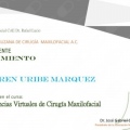 Ampliar imagen: certificate 5
