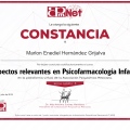 Ampliar imagen: certificate 24