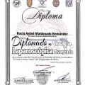 Ampliar imagen: certificate 3