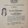 Ampliar imagen: certificate 12