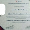 Ampliar imagen: certificate 4