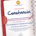 Ampliar imagen: certificate 15