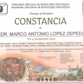 Ampliar imagen: certificate 121