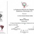 Ampliar imagen: certificate 5