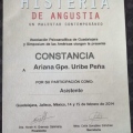 Ampliar imagen: certificate 3