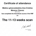 Ampliar imagen: certificate 6