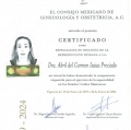 Ampliar imagen: certificate 2