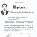 Ampliar imagen: certificate 5