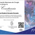 Ampliar imagen: certificate 2