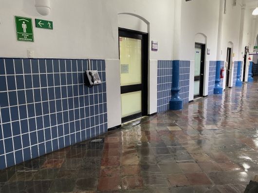 Milton Emmanuel Hernández Rodríguez-5