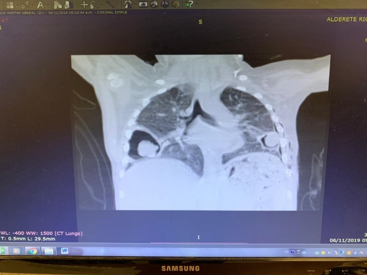 Carlos Alejandro De Alba De Lira-2