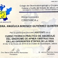 Ampliar imagen: certificate 3