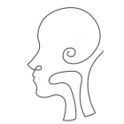 Dra. Areli Reyes Arcos