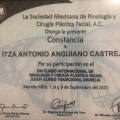Ampliar imagen: certificate 3