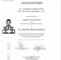 Ampliar imagen: certificate 7