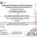 Ampliar imagen: certificate 48