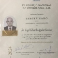 Ampliar imagen: certificate 7