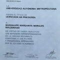 Ampliar imagen: certificate 8