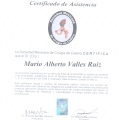 Ampliar imagen: certificate 23