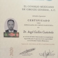 Ampliar imagen: certificate 1