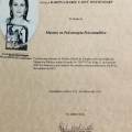 Ampliar imagen: certificate 6