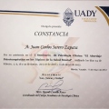 Ampliar imagen: certificate 6