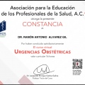 Ampliar imagen: certificate 9