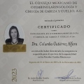 Ampliar imagen: certificate 1