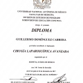 Ampliar imagen: certificate 9