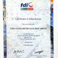 Ampliar imagen: certificate 1