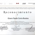 Ampliar imagen: certificate 31