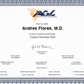 Ampliar imagen: certificate 6