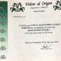 Ampliar imagen: certificate 6