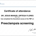 Ampliar imagen: certificate 12