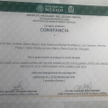 Ampliar imagen: certificate 8
