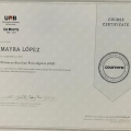 Ampliar imagen: certificate 19