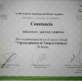 Ampliar imagen: certificate 25